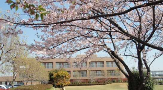 桜の木と施設の建物外観。春の季節感が感じられる敷地内の風景。